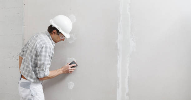 Best Mold Odor Removal Services  in Bald Kno, AR